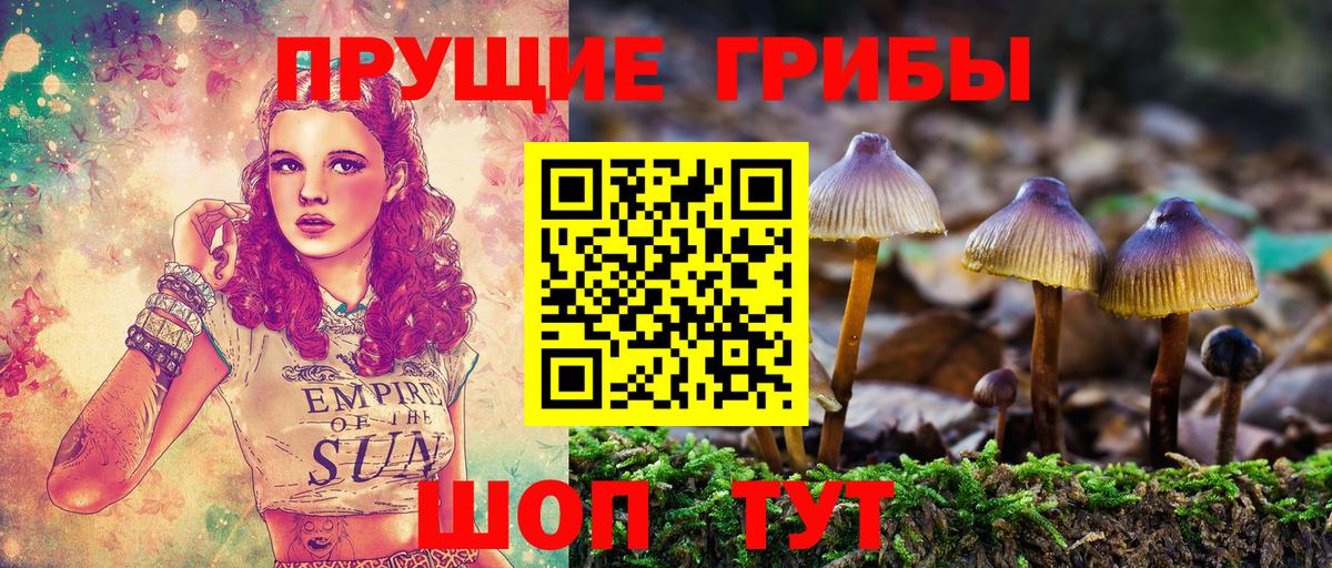 Псилоцибиновые грибы прущие грибы  Вход с VPN  Сердобск 